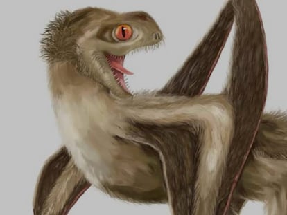 Reconstrucción de un ejemplar de pterosaurio.