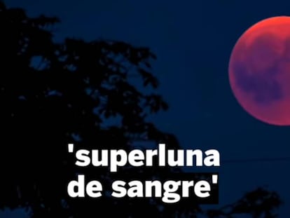 Superluna llena durante un eclipse lunar, en Berna (Suiza). Vídeo: Fenómeno de la Luna de Sangre del lobo.