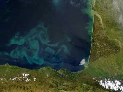 Explosión de algas microscópicas en el golfo de Vizcaya.
