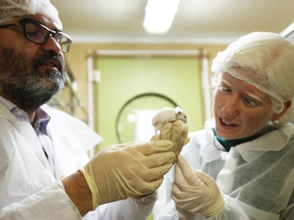 El genetista Lluís Montoliu y la actriz Patty Bonet, con su ratón modificado genéticamente.