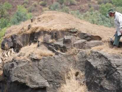 El investigador estadounidense Steve Self analiza una de las formaciones estudiadas, en Pune (India). En vídeo, el meteorito no mató a los dinosaurios.