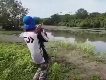 Un enorme cocodrilo sorprende a dos pescadores en Australia
