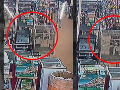 Un hombre robando una pitón en una tienda en Michigan (Estados Unidos).