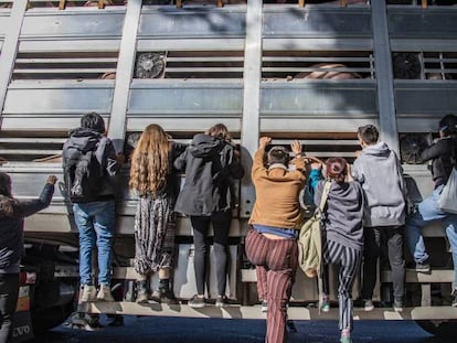 Activistas antiespecismo, en el matadero de Getafe (Madrid). En vídeo, los animalistas hacen parar a los camiones que llegan al matadero de la localidad madrileña para poder despedirse y grabar a los animales que van dentro.