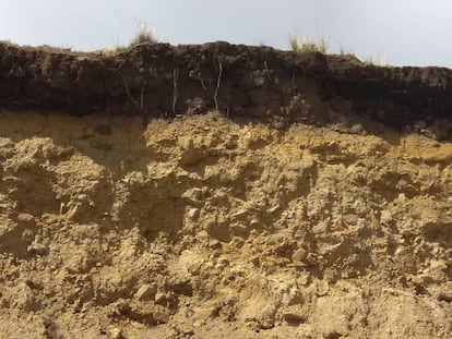 Un agricultor de los Andes explica cómo proteger el suelo ante científicos y políticos en Roma