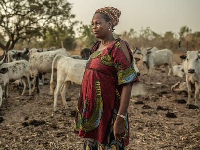 El sueño de Fatou