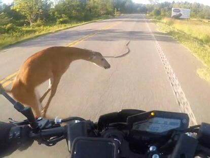 El vídeo que muestra el momento del accidente.