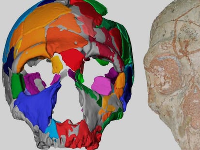El cráneo 2 de Apidima (Grecia), atribuido a un neandertal, y su reconstrucción digital.