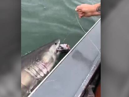 El vídeo grabado en un directo de Facebook por el capitán del barco.