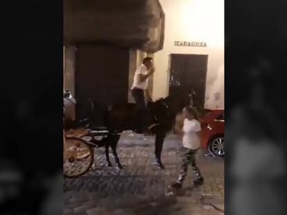 Un cochero de Sevilla provoca polémica entre los internáutas por el trato a su caballo.