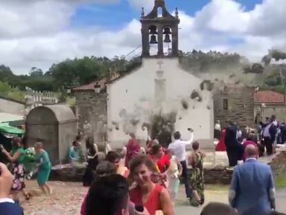 Imágenes de una cosechadora que lanza confeti en una boda gallega.