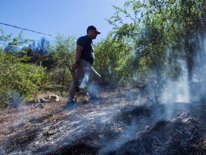 Cenizas y humo en la zona afectada.