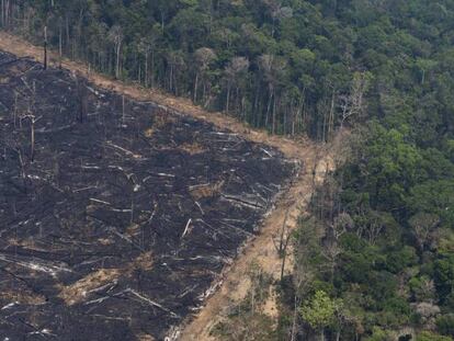 Un área quemada cerca de Porto Velho, en el Estado brasileño de Rondonia, el 23 de agosto. En vídeo, la Amazonia arde a un ritmo récord.