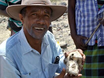 En vídeo, Yohannes Haile-Selassie, director de la excavación, con el cráneo MRD presentado hoy.