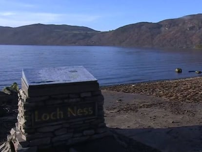 El monstruo del lago Ness podría ser una anguila gigante