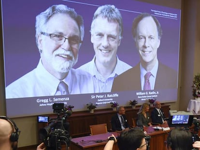 Anuncio del Nobel de Medicina, este lunes, para Gregg Semenza, Peter Ratcliffe y William Kaelin.