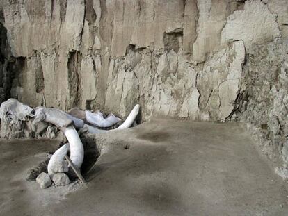 Restos óseos de un mamut en Tultepec, México. En vídeo, el descubrimiento de los arqueólogos del INAH.