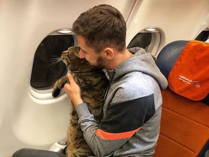 El pasajero, con su mascota, en el avión.