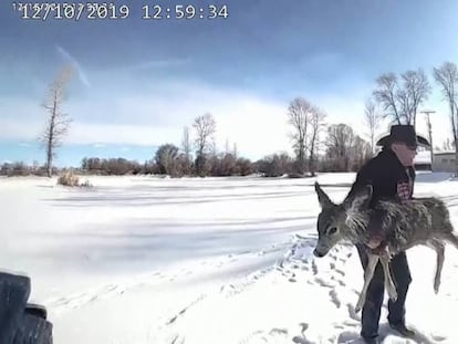 El rescate de un pequeño ciervo atrapado en un estanque congelado