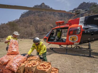 Un cargamento de zanahorias y boniatos destinado. En vídeo, imágenes de las descargas de alimentos.