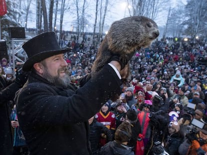 El momento en el que ha salido la marmota este 2 de febrero de 2020.