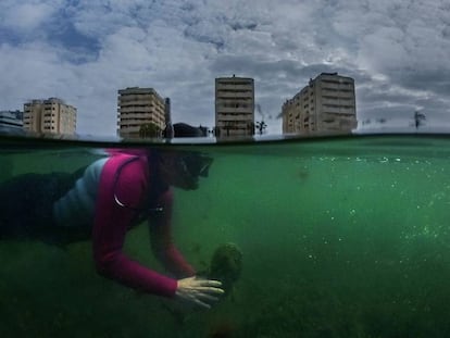 Mar Menor, cuando el desprecio al medio ambiente se vuelve contra nosotros