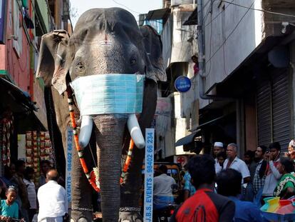 La réplica de elefante con mascarilla que se mueve por las calles de Chennai para concienciar sobre el virus. En vídeo, India afronta el coronavirus.