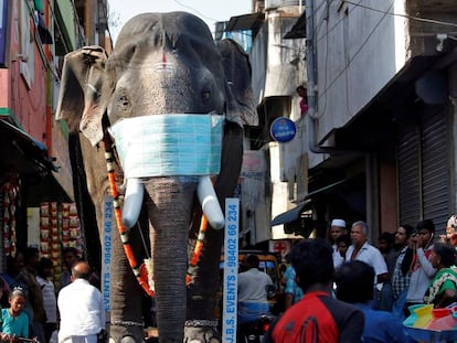 La réplica de elefante con mascarilla que se mueve por las calles de Chennai para concienciar sobre el virus. En vídeo, India afronta el coronavirus.