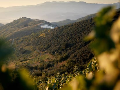 La bodega Descendientes de J. Palacios, proyectada por el arquitecto Rafael Moneo vista desde la finca de La Faraona, en Corullón, en el Bierzo (León).