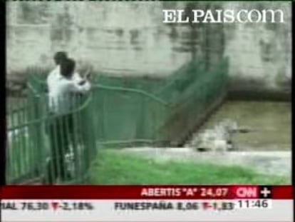 El veterinario de un zoológico de Taiwán ha sufrido el ataque de uno de los animales a los que asiste. El animal le arrancó de cuajó su brazo izquierdo cuando trataba de inyectarle un tranquilizante.