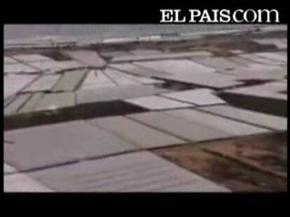 Un documental franco-belga-marroquí critica las condiciones de los trabajadores inmigrantes en El Ejido