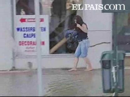 En Els Poblets, a 30 kilómetros de Calpe, las pérdidas son millonarias