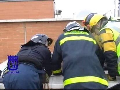 La víctima está herida de pronóstico reservado con un traumatismo vertebral.