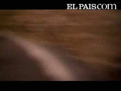 El ataque de una pitón, en el programa 'Encuentros peligrosos con Brady Barr'