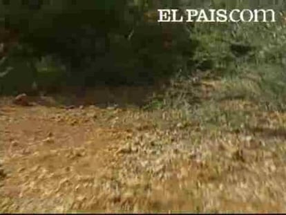 Un cadáver ha aparecido en un olivar del municipio valenciano de Macastre. Se trata del cuerpo de una joven de unos 20 años, que aún no ha podido identificarse porque está en avanzado estado de descomposición. Lo encontró una pareja que paseaba por la zona. La mujer podría llevar más de 10 meses sepultada y las primeras hipótesis apuntan a que puede ser una extranjera víctima de las redes de trata de blancas que acostumbran a operar en la Comunidad Valenciana.