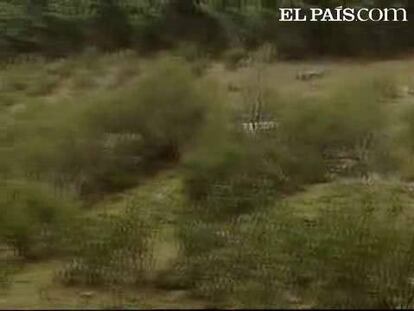 Sexta jornada de búsqueda de José Carlos Marcos. Los equipos de rescate realizaron ayer nuevos rastreos pero sin resultados. El pesimismo cada vez es mayor. Cobra fuerza la hipótesis de que José Carlos haya desaparecido en la montaña. No hay nuevos movimientos en su cuenta bancaria ni se ha registrado su paso por ningún aeropuerto.