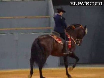 Una exhibición de caballos a cargo de la Real Escuela Ecuestre de Jerez, acompañada de la música flamenca del compositor y pianista Manolo Carrasco, tendrá lugar el próximo día 30 en el madrileño Palacio de Vistalegre, bajo el título de <i>Sinfonía Ecuestre</i>.