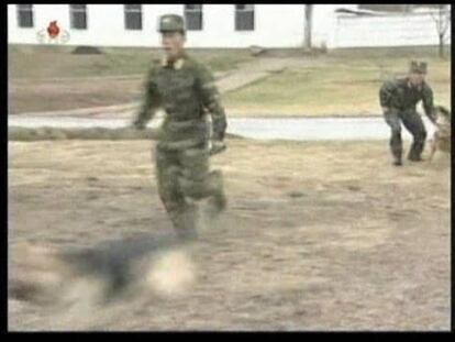 Corea del Norte adiestra perros
