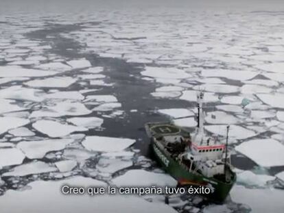 A bordo del 'Rainbow Warrior'