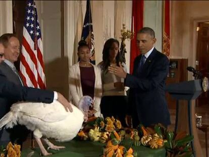 Obama amnistía a los dos pavos de Acción de Gracias