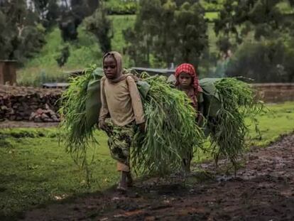 El único niño del mundo: fotografías