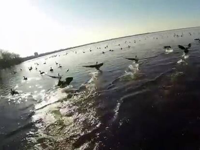 Drones para todo