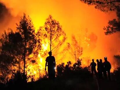 Así trabajan los bomberos en la primera línea de un incendio forestal