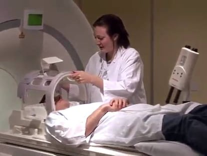 A la conquista del cerebro
