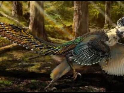 La estrella de ‘Jurassic Park’ debería tener plumas