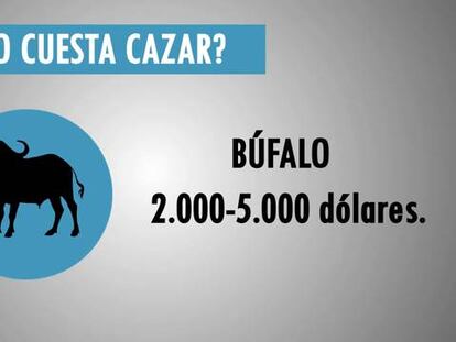 ¿Cuánto cuesta cazar desde España?