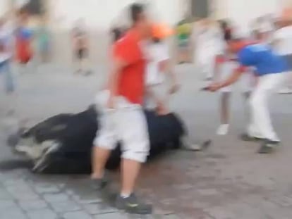 Matar a un toro de un disparo, parte de la fiesta en un pueblo extremeño