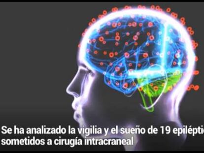 El cerebro dormido está bien despierto