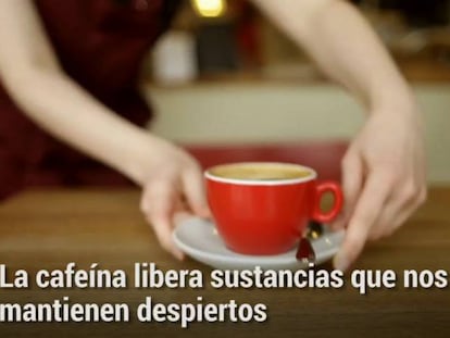 Cafeína pode regular o sono