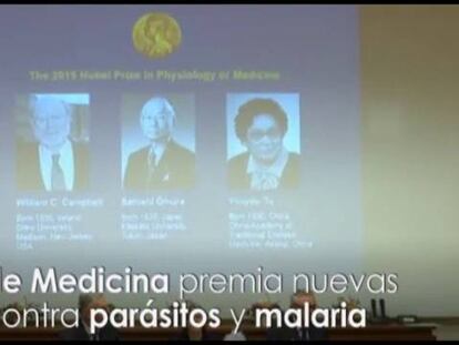 Nobel premia tratamentos contra a malária e outros parasitas